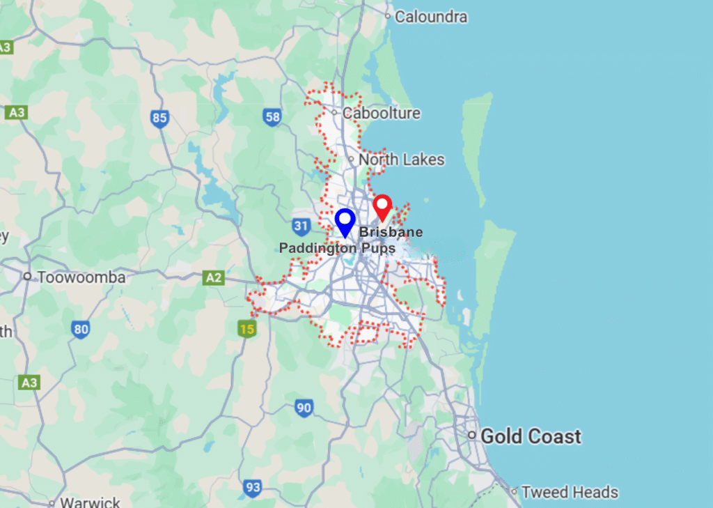 Brisbane pinned location on maps and paddington pups pinned location