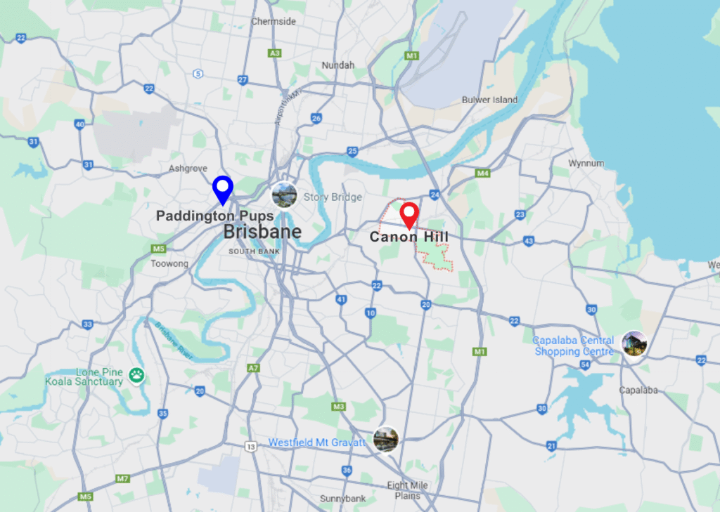 Paddington Pups and canon hill pinned location on maps