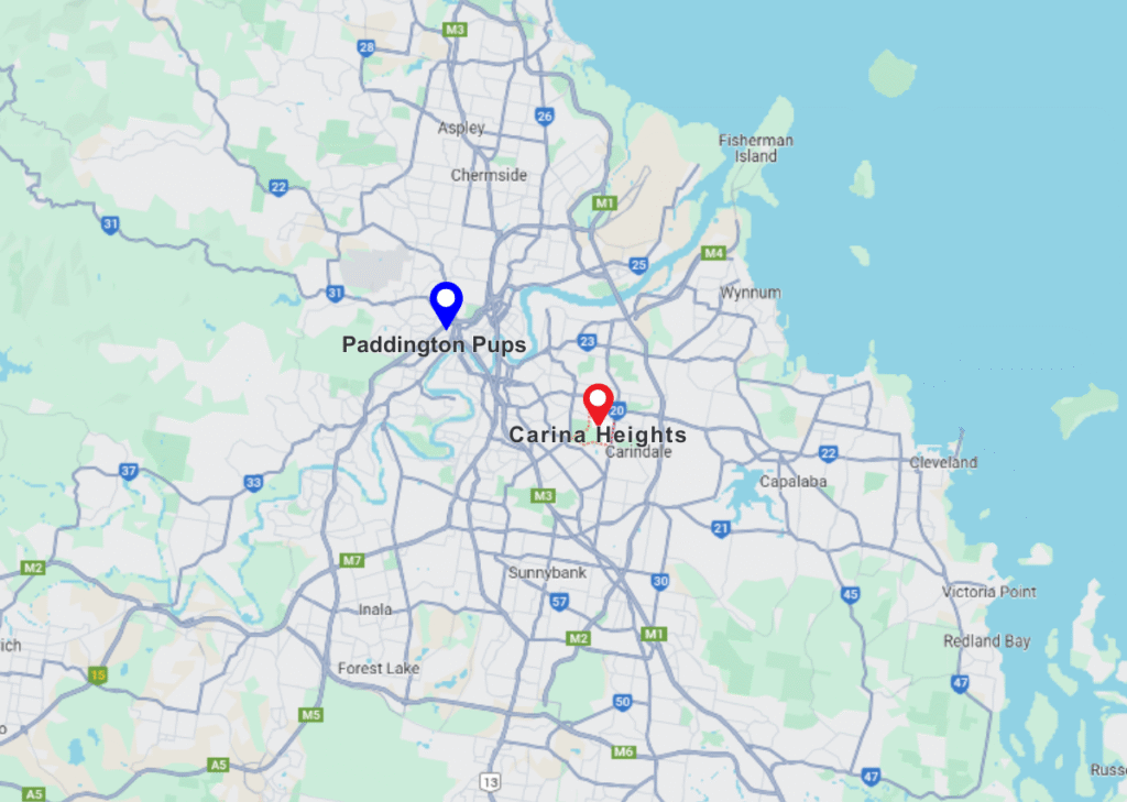 Paddington pups and Carina heights pinned map location