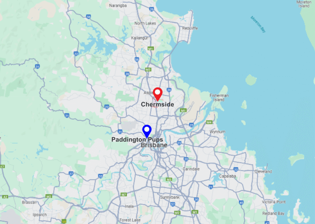 Chermside pinned location maps and paddington pups pinned location