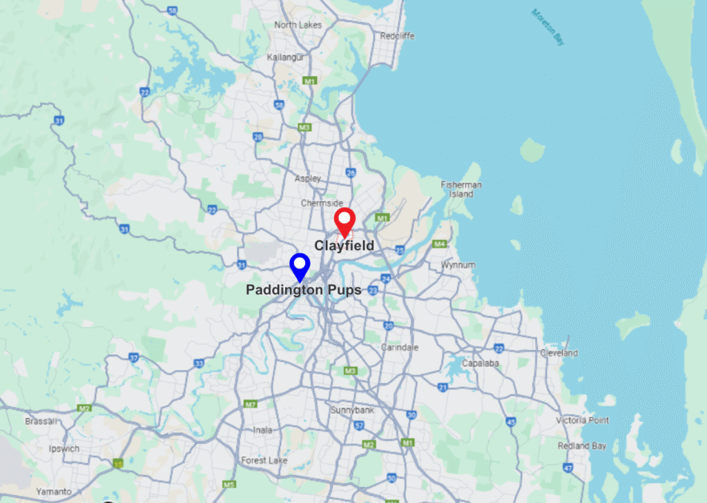 Clayfiled pinned location maps and paddington pups pinned location