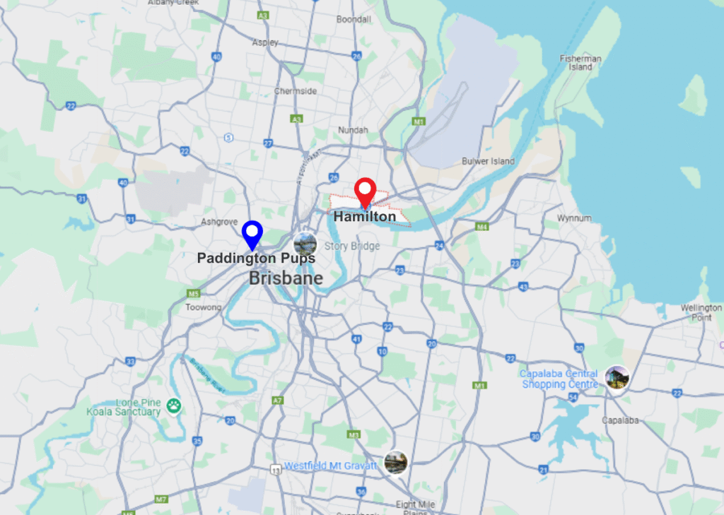 Hamilton pinned location on map and paddington pups pinned location