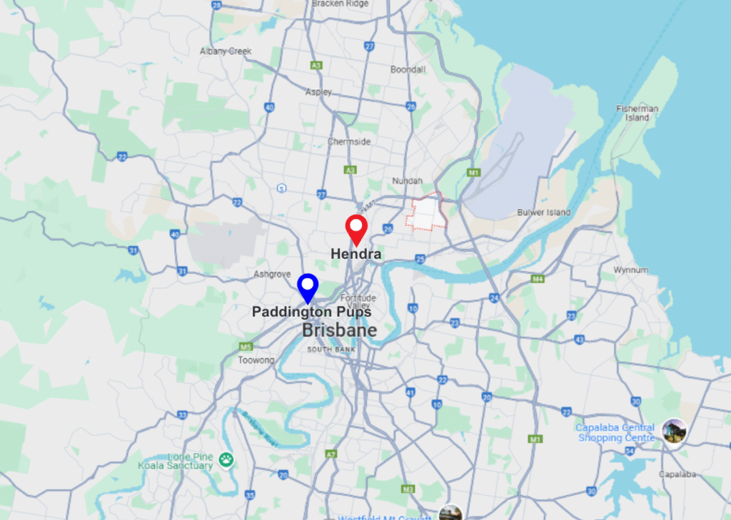 Hendra pinned location on maps and paddington pups location