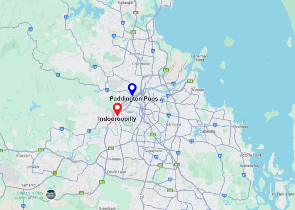 Indooroopilly pinned location on map and Paddington Pups pinned location