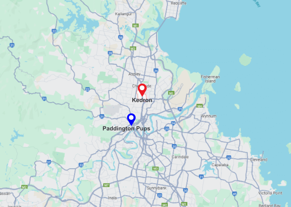 kedron qld pinned location on maps and paddington pups pinned location