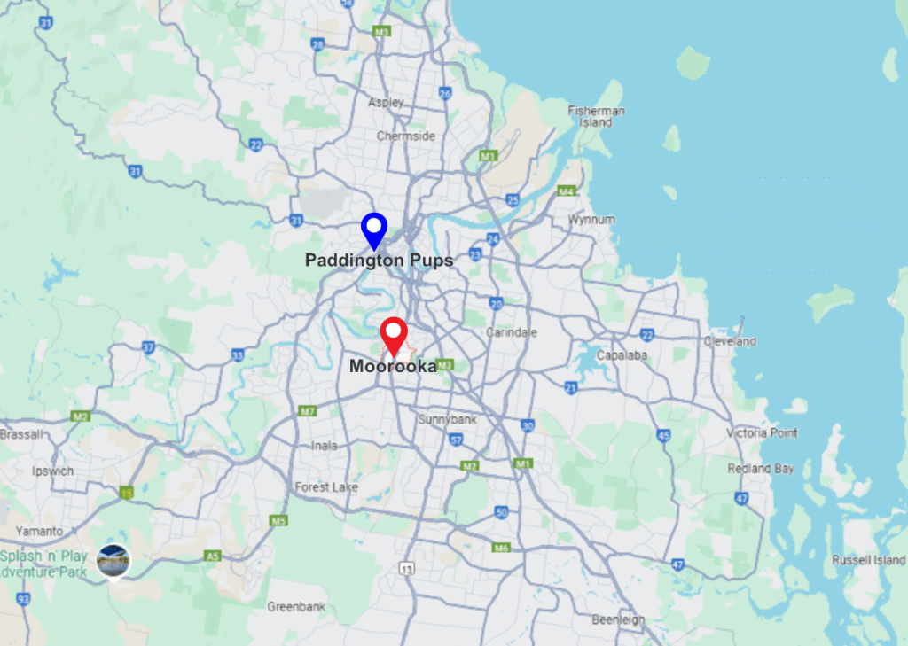 Moorooka pinned location on maps and Paddington pups pinned location