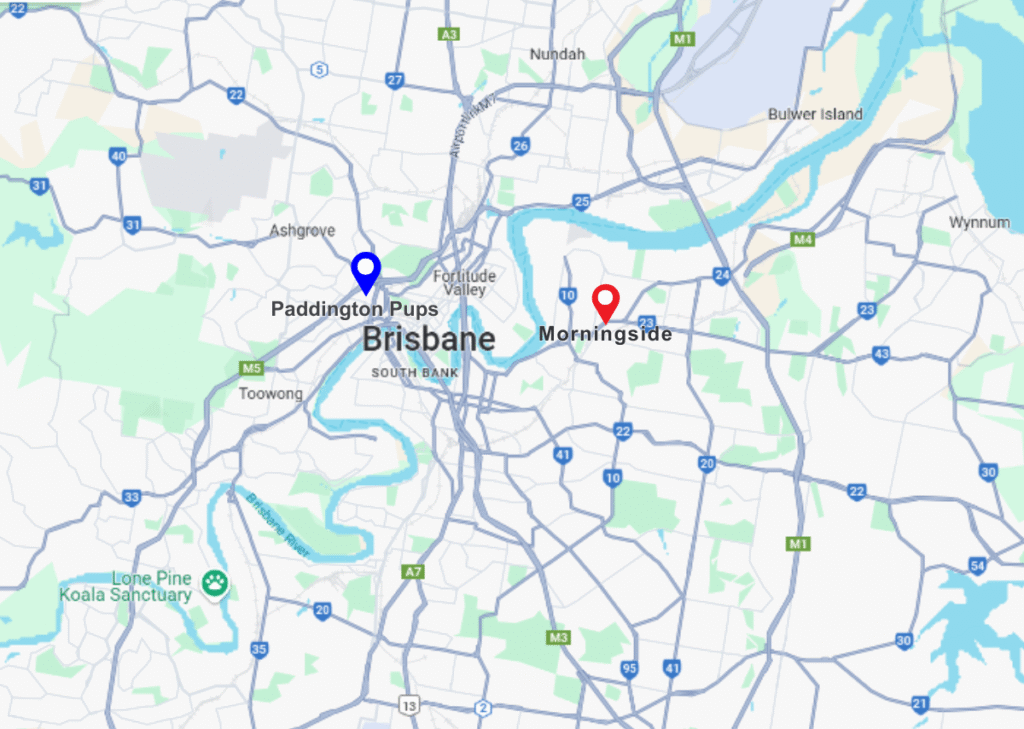 Paddington Pups and Morningside pinned location on map