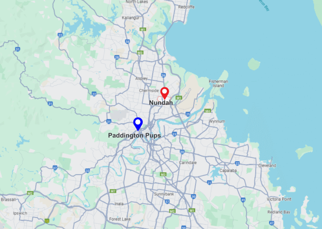 Nundah pinned location on maps and paddington pups pinned location