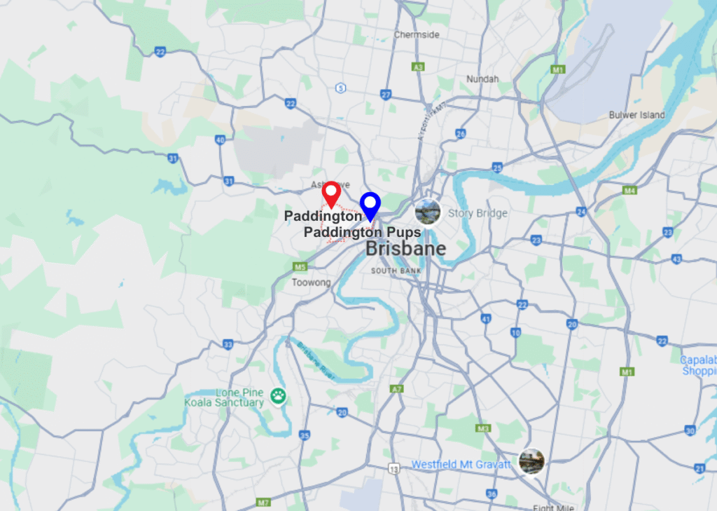 Paddington pinned location on maps and paddinton pups pinned location