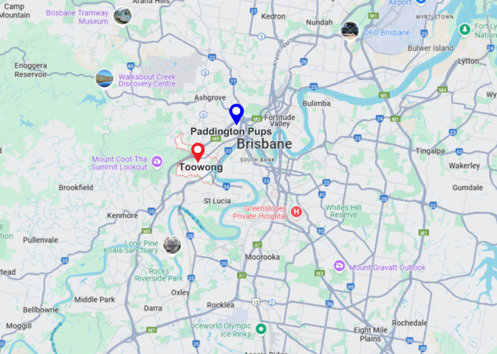Toowong pinned location on maps and paddington pups pinned location