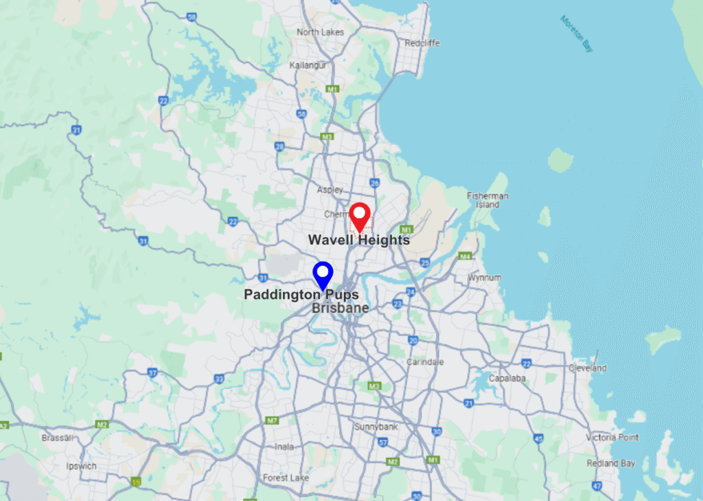 Wavell heights pinned location on maps and paddington pups