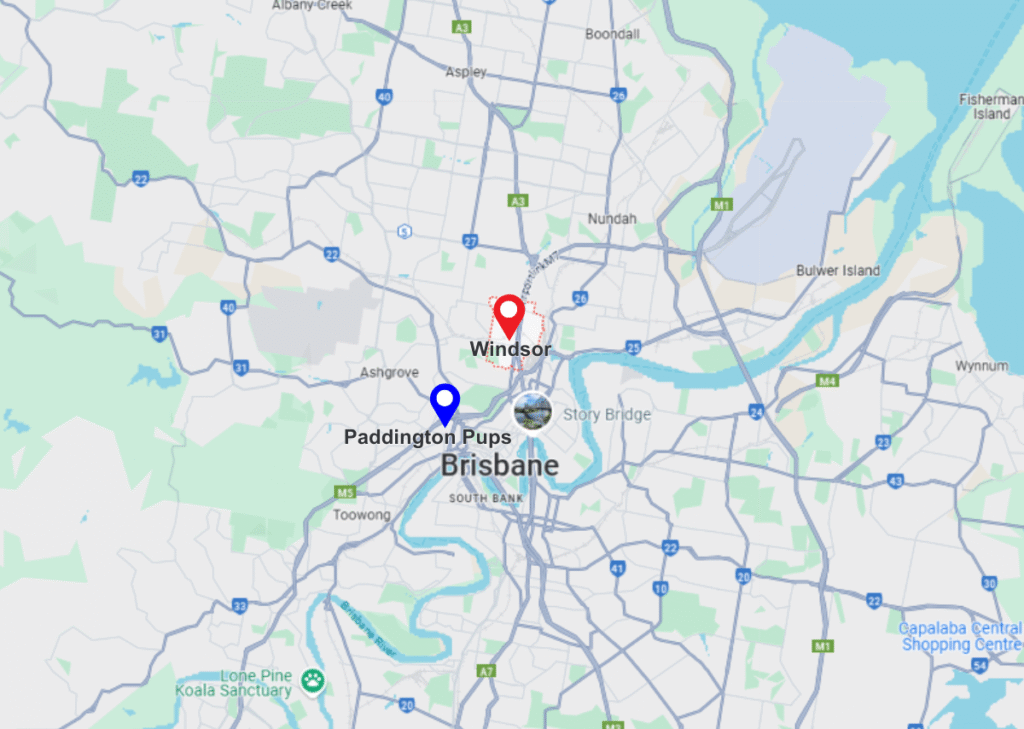 Windsor pinned location on maps and paddington pups pinned location