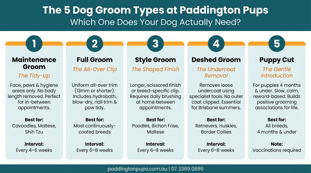infographics about the five groom types