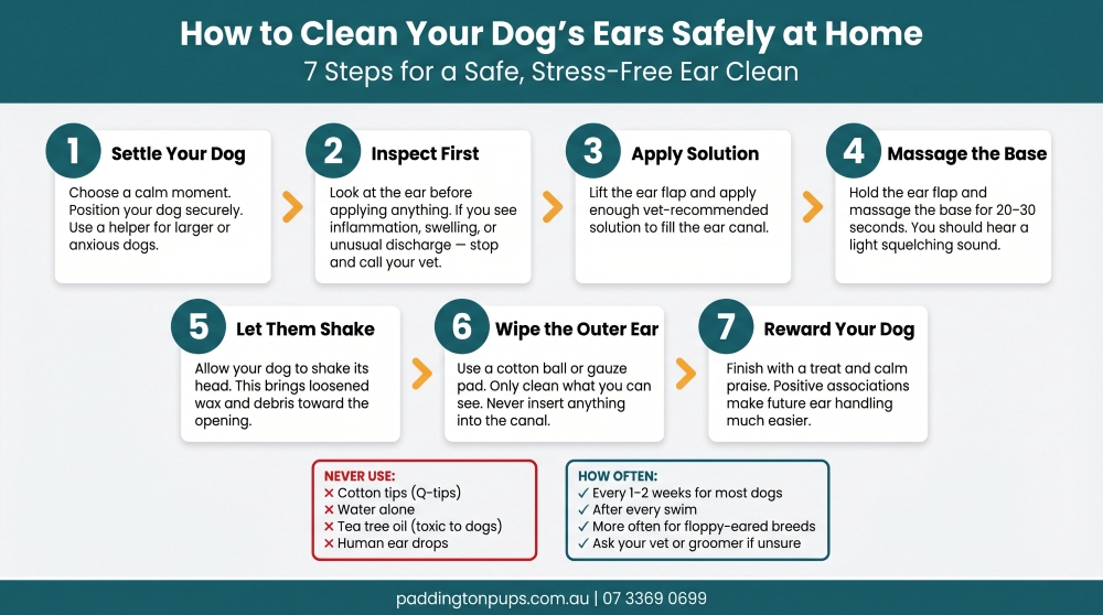 infographics about ear cleaning steps