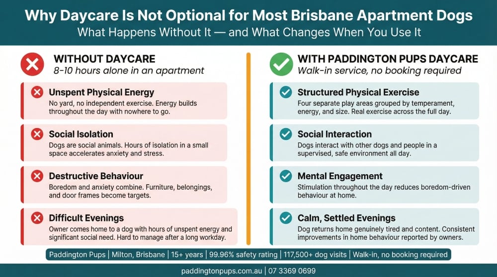 infographics about how daycare can solve apartment problems