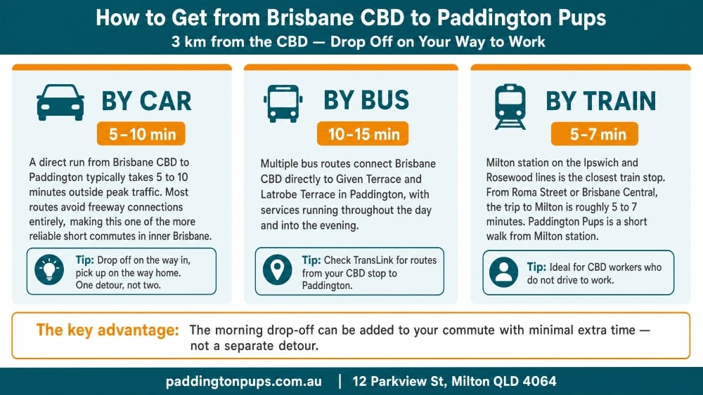commuting to paddington pups infographics