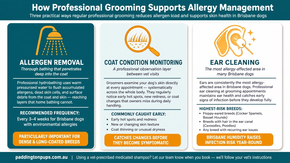 01_professional_grooming_allergy_management