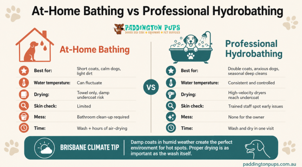 at home bathing vs professional hydrobathing infographics