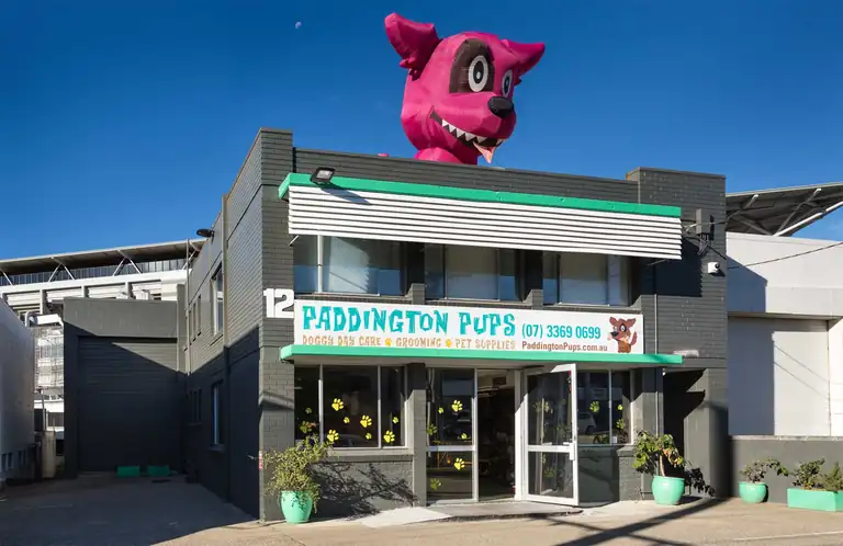Paddington Pups dog daycare and grooming centre building with large pink dog mascot on roof, featuring paw print decorations and welcoming entrance.